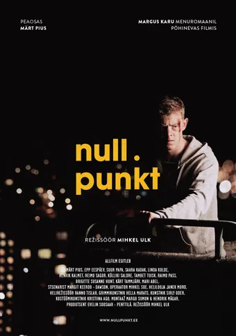 nullpunkt 2014 poster