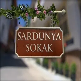 sardunya sokak 2007 poster