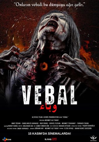 vebal 2024 poster