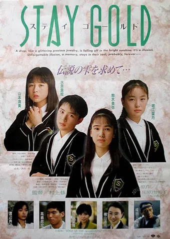 stay gold 1988 poster