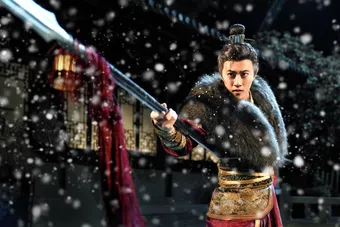 drunken swordsman 2024 poster