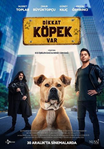 dikkat köpek var 2022 poster