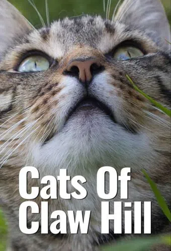 cats of claw hill 2010 poster