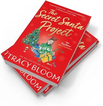 the secret santa project poster