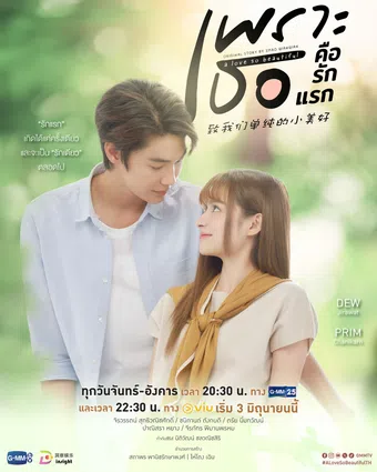 a love so beautiful 2024 poster