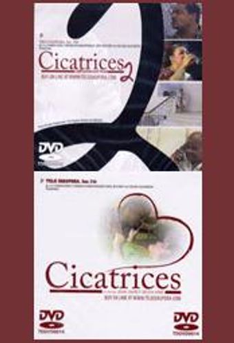 cicatrices 2 2001 poster