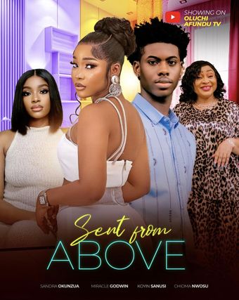 sent from above 2024 poster