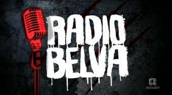 radio belva 2013 poster