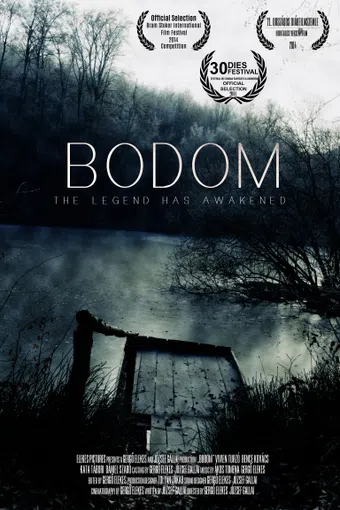 bodom 2014 poster