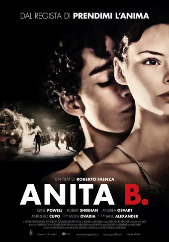 anita b. 2014 poster