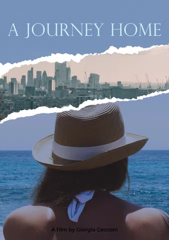 a journey home poster