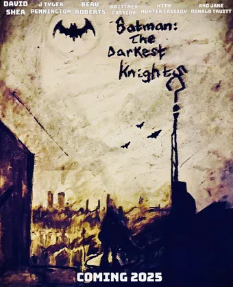 batman: the darkest knights poster