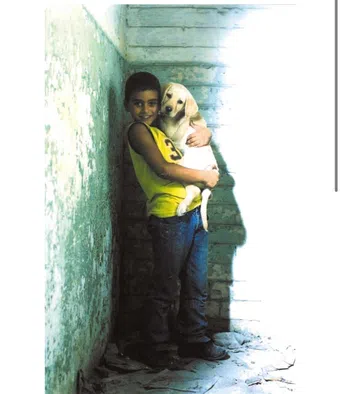 ringo and taher 2006 poster