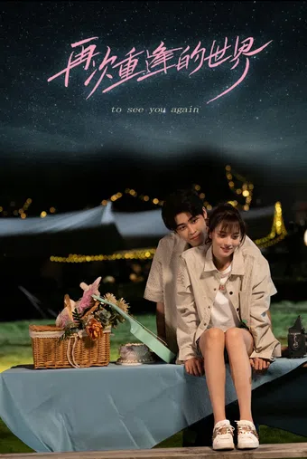 too see you again 2024 poster