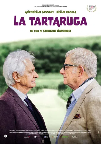 la tartaruga 2024 poster