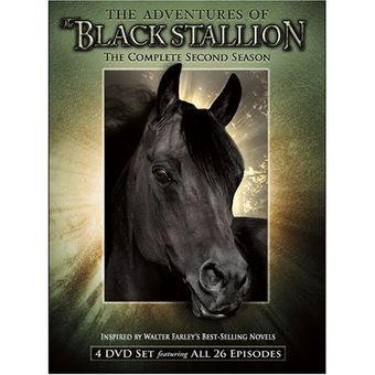 the adventures of black stallion 1990 poster