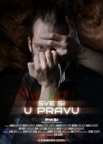 sve si u pravu 2024 poster