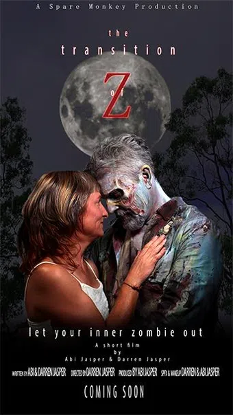 the transition of z poster