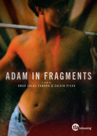 adam in fragments 2022 poster