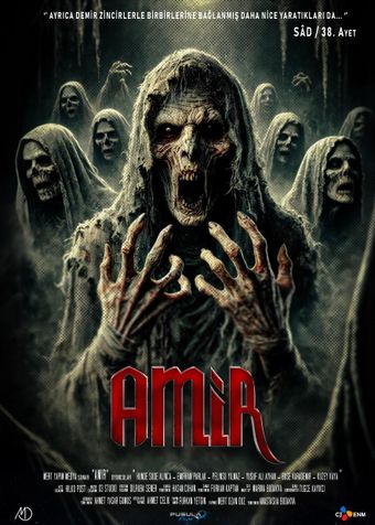 amir 2024 poster