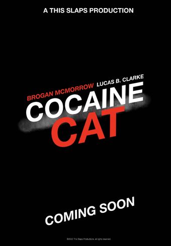 cocaine cat 2023 poster