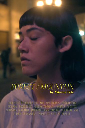 forest/mountain 2017 poster