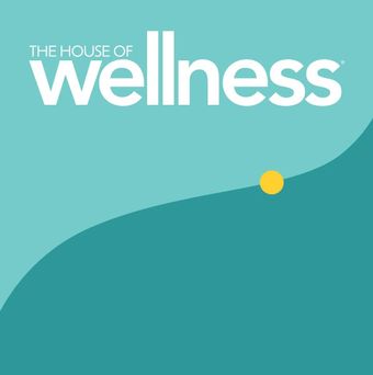 the house of wellness 2017 poster