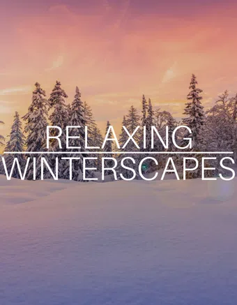 relaxing winterscapes 2020 poster