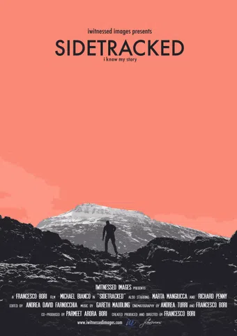 sidetracked 2015 poster