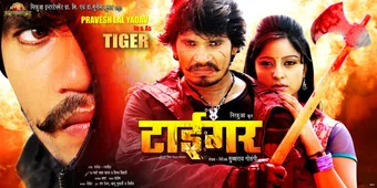 tiger 2013 poster