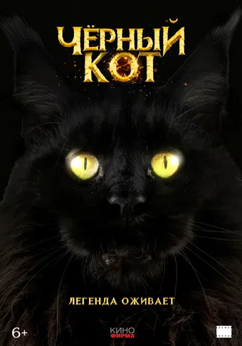 chyornyy kot poster