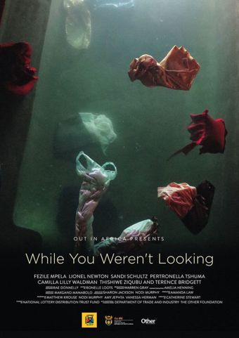 while you weren't looking 2015 poster