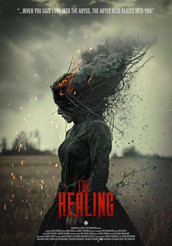 the healing 2024 poster