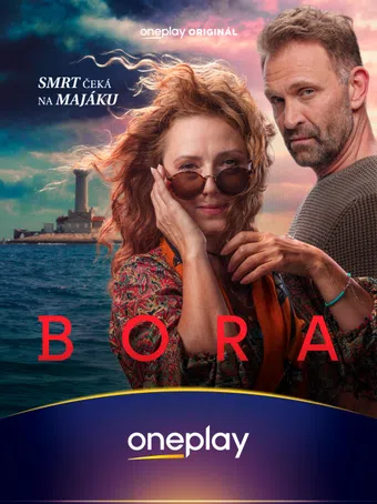 bora 2025 poster
