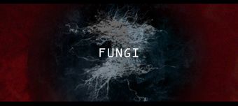 fungi 2023 poster