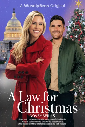 a law for christmas 2023 poster