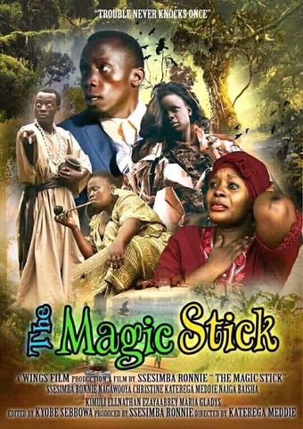 the magic stick 2018 poster