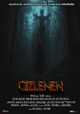 gizlenen 2024 poster