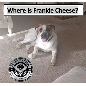 where is frankie cheese poster