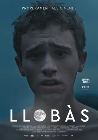 llobàs 2023 poster