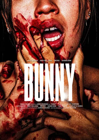 bunny 2025 poster
