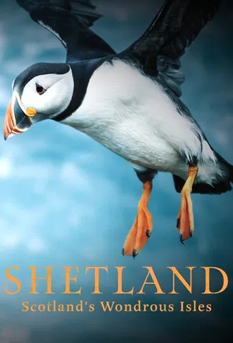 shetland: scotland's wondrous isles 2024 poster