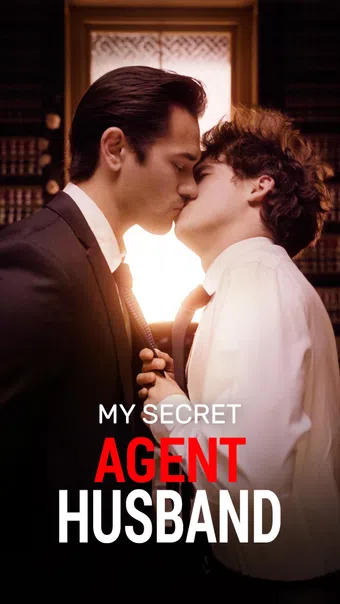 my secret agent husband 2024 poster