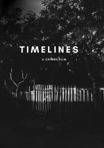 timelines 2025 poster
