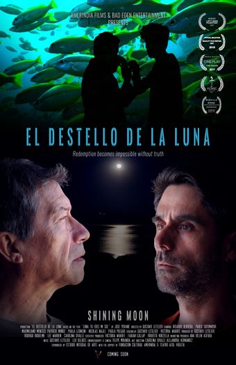 el destello de la luna 2016 poster