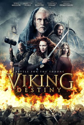 viking destiny 2018 poster