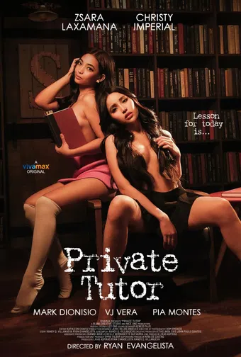 private tutor 2024 poster