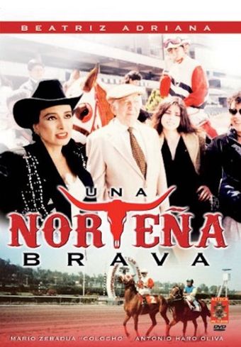 una norteña bravía 1993 poster