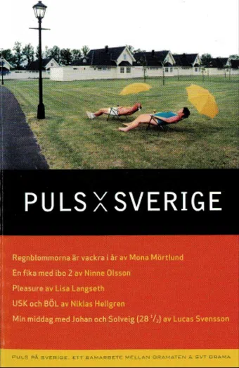 puls på sverige 2007 poster