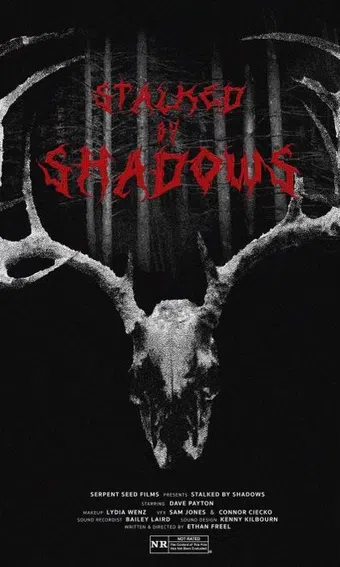 stalked by shadows 2024 poster